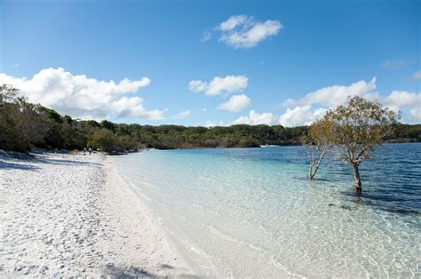 Fraser Coast The Golden Triangle Lgaq