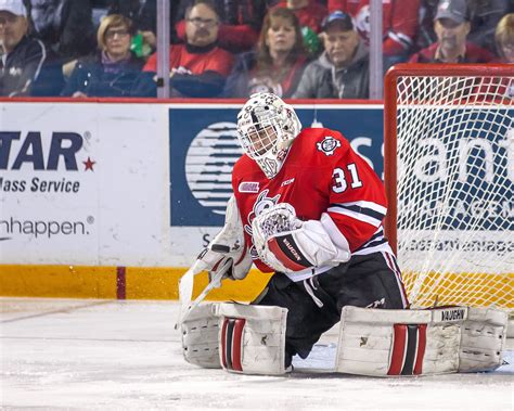 Icedogs Alex Nedeljkovic Named Vaughn Chl Goaltender Of The Week