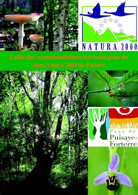 Calaméo Guide De Recommandations Sylvicoles