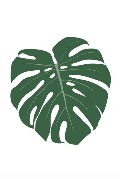 Premium Vector Monstera Leaf Flower Wall Art Poster Monstera Leaf