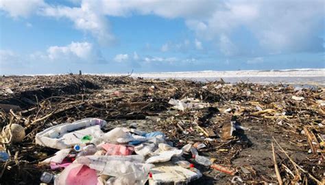 Contaminaci N Playas Rosarito Esquina