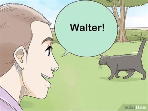 How to tell your cat about breaking bad : r/disneyvacation