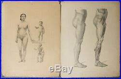 Gravure atlas anatomie docteur Fau crane ecorché squelette vanité