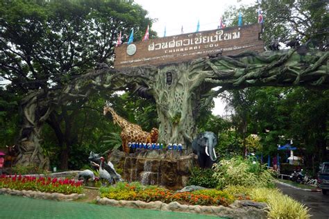 Panoramio Photo Of Chiang Mai Zoo Entrance