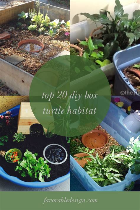 Top 20 Diy Box Turtle Habitat - Home, Family, Style and Art Ideas