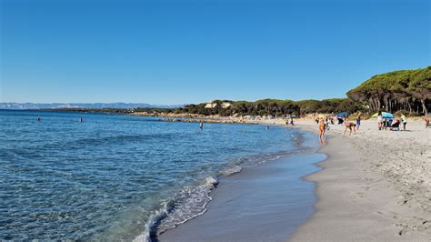 Spiagge Cani Sardegna Scopri La Mappa 2024 YepSea