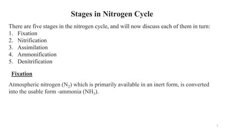 Nutrient Cycle Pptx