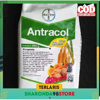 Jual Fungisida Antracol Wp Kemasan Gram Shopee Indonesia