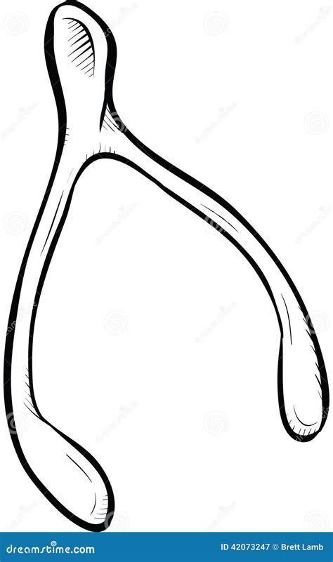 Wishbone Stock Illustration Image Of White Wishbone 42073247
