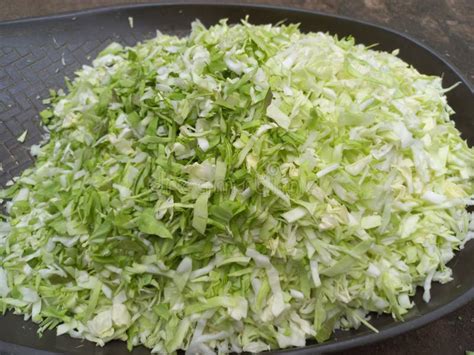 Finely Chopped Cabbage Vegetable On A Plastic Container Stock Image