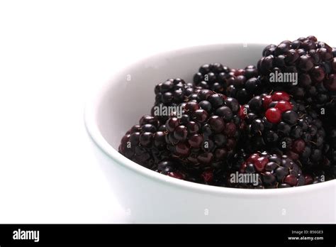 Blackberries In A Bowl Hi Res Stock Photography And Images Alamy