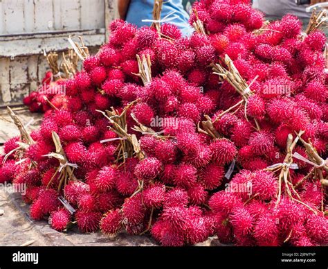 Los Frutos Del Rambutano Nephelium Lappaceum Es Un Rbol Tropical De