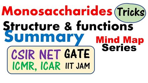 Monosaccharides structure and function biochemistry lecture - YouTube