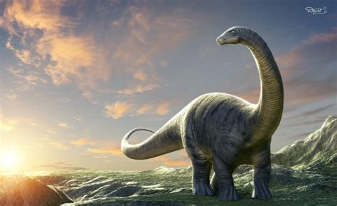 Brontosaurus Vs Apatosaurus Whats The Difference