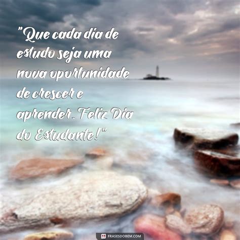 Frases Sobre O Estudante - 8