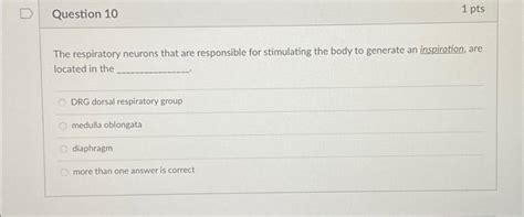 Solved Question 10 The respiratory neurons that are | Chegg.com