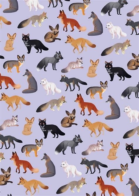 "Fox Breeds" by sophieeves90 | Redbubble