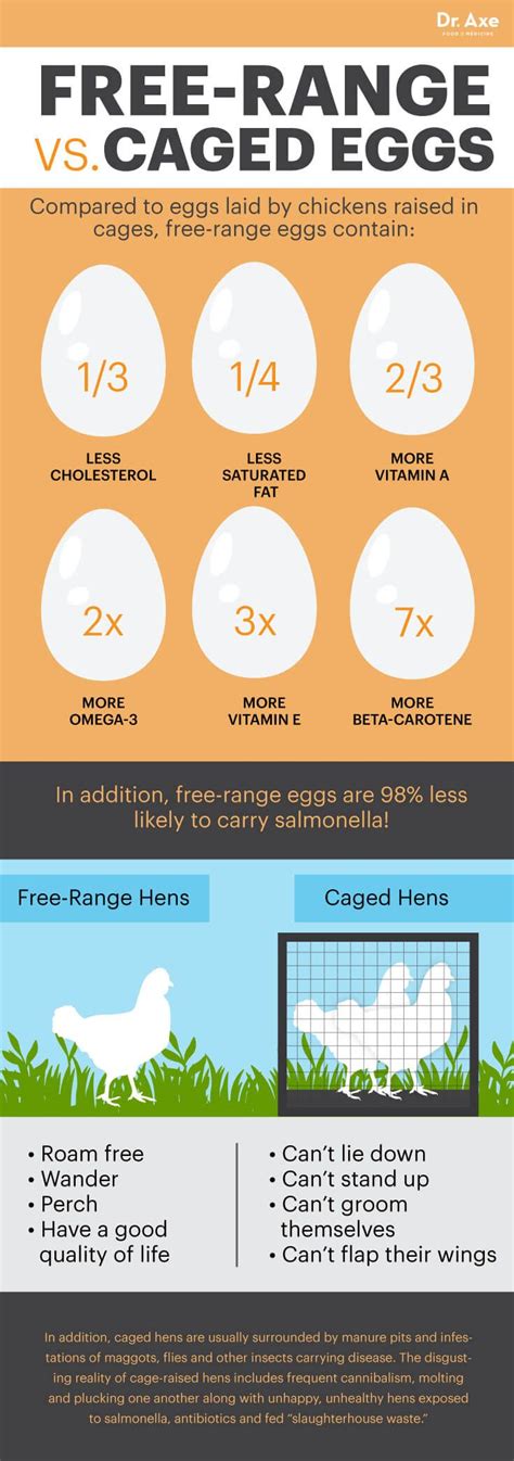 Egg Nutrition Facts Health Benefits And Risks With Images Health Benefits Of Eggs Egg