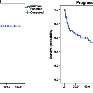 Pdf Characteristics And Treatment Results Of Patients With