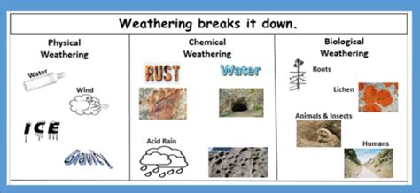 Week 11 Weathering Flashcards Quizlet