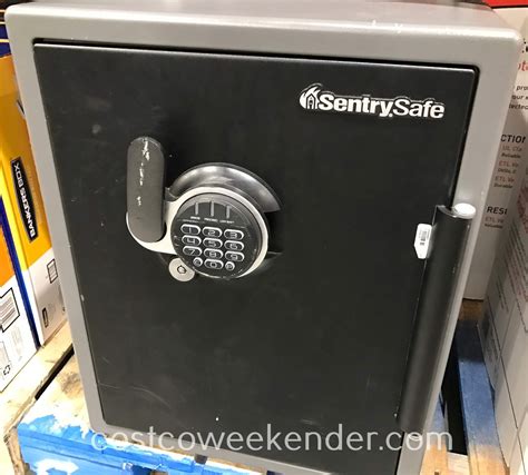 Sanctuary Safe Costco Review