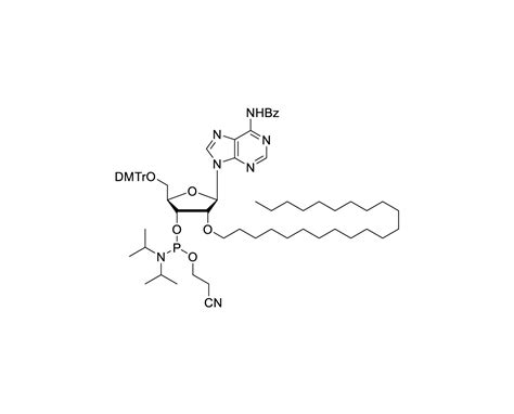 DMTr 2 O C22 rA Bz 3 CE Phosphoramidite 江苏申基生物科技有限公司