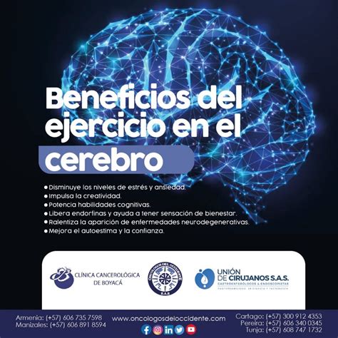 Beneficios Del Ejercicio En El Cerebro • Oncólogos Del Occidente Sas Zentria Tratamientos