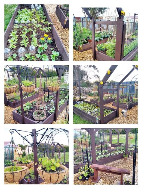 Pin By Magickal Fox On Allotment Plants Garden Allotment