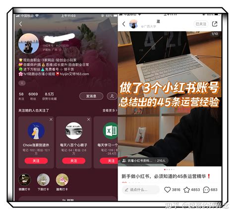 拆解可复制的小红书案例：如何做一个成长性的小红书博主 知乎