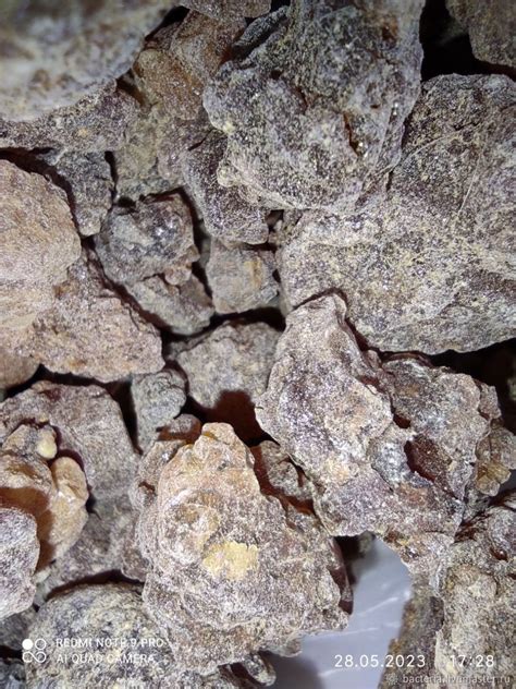 Мирра смола Сомали, Commiphora myrrha, 10 грамм в интернет-магазине ...