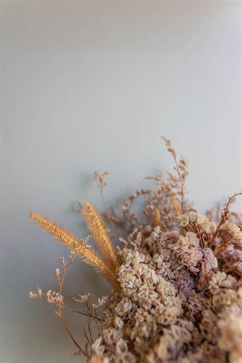 Bouquet Of Brown Dried Flowers In Glass Vase And A Stainless Steel Jug