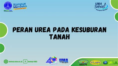 Peran Urea Pada Kesuburan Tanah Universitas Medan Area