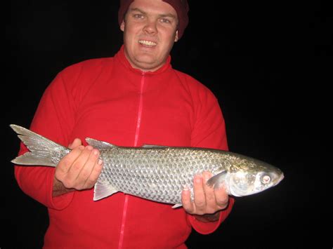 Fun Sea Shore Activities And Fishing Adventures