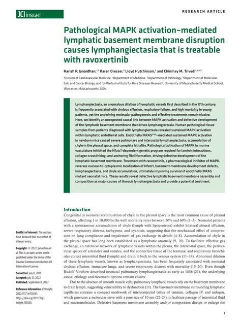 Pdf Pathological Mapk Activationmediated Lymphatic Basement Membrane