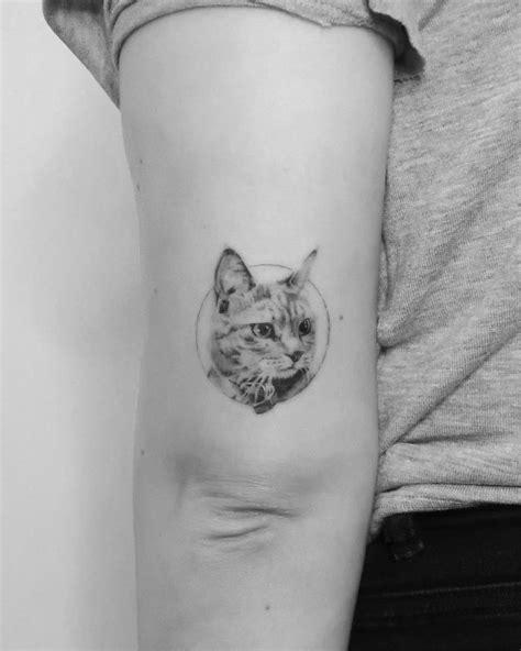 Micro Realistic Cat Portrait Tattoo On The Tricep