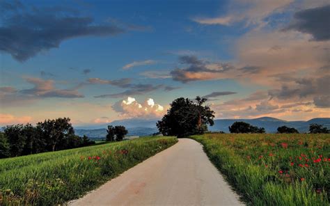 Wallpaper Sunlight Landscape Sunset Hill Nature Sky Field Road