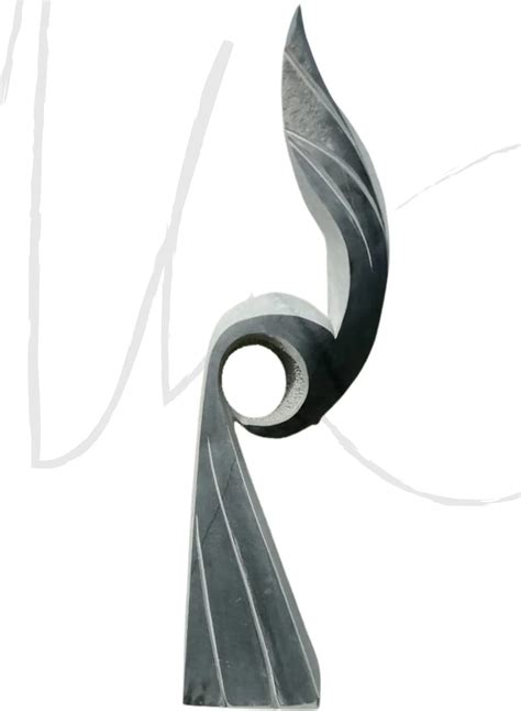 tips for bird scratching easily 4