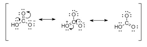 A The Structure Of The Bicarbonate Hydrogen Carbonate Io Quizlet