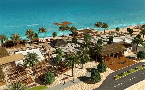 Msc Cruises Now Ports At Sir Bani Yas Island Msc Cruises Cruise