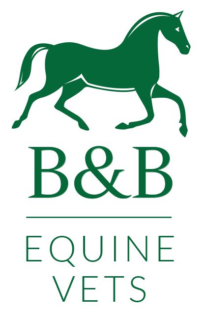 Equine Internal Medicine Specialists Bbequinevets Call For More Info