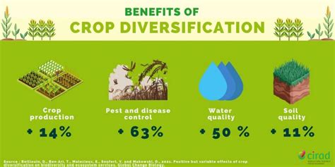 Crop Diversification Scheme