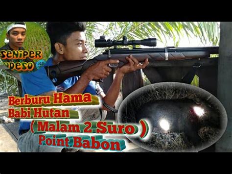 Berburu Hama Babi Hutan Poin Babon YouTube