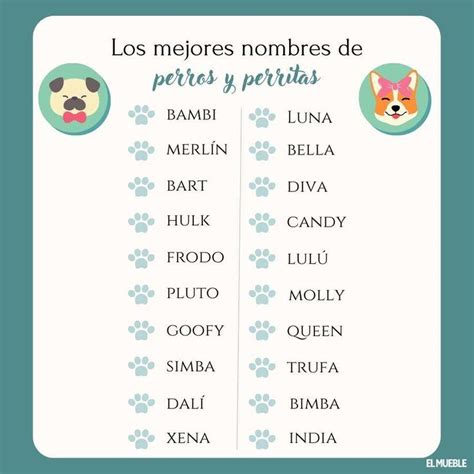 Más de 200 nombres para perros machos y perritas