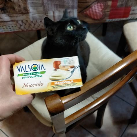 Valsoia Yogurt Alla Nocciola Reviews Abillion