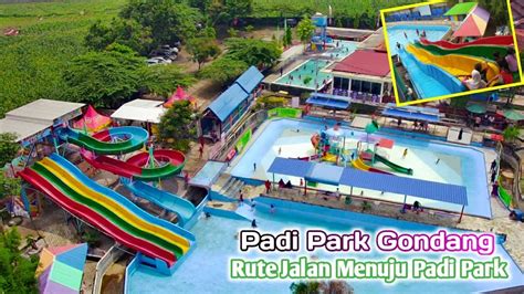 Rute Jalan Menuju Padi Park Gondang Mojokerto YouTube