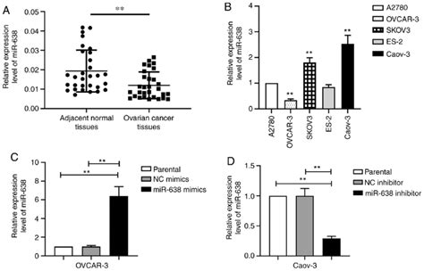 Mir Expression In Ovarian Cancer Tissues And Cell Lines A