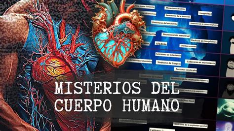 Iceberg del CUERPO HUMANO misterios enfermedades y más YouTube