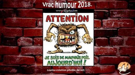 Pps Diaporama Vrac Humour Je Suis De Mauvais Poil Ma Plan Te Pps