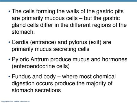 The Digestive System Part B Ppt Download