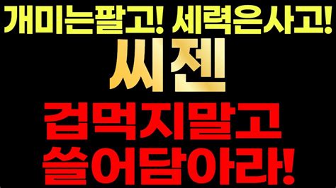 씨젠🚨 개미는팔고 세력은사고 겁먹지말고 쓸어담으세요 Youtube